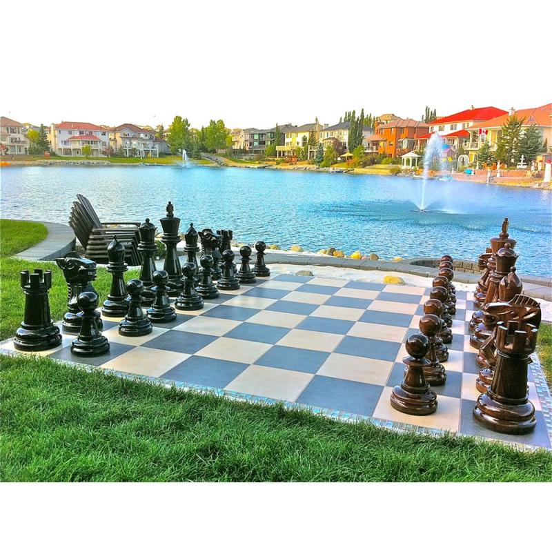 For a Chess Fan, a Large Garden Gift