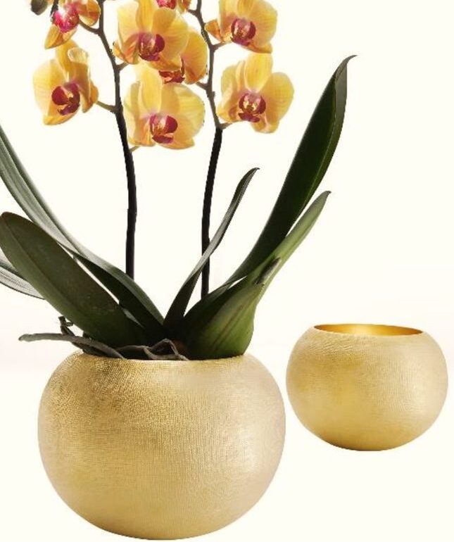 stylish flower pots