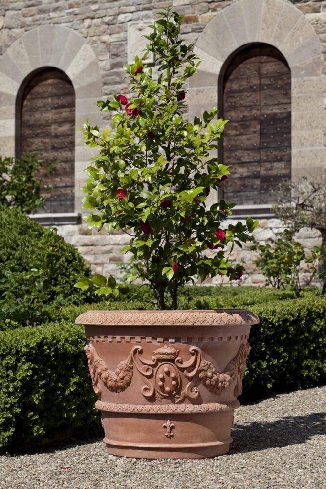 terracotta flower pot