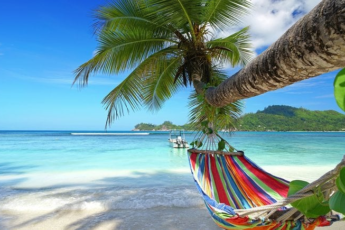 Where to Go to Seychelles