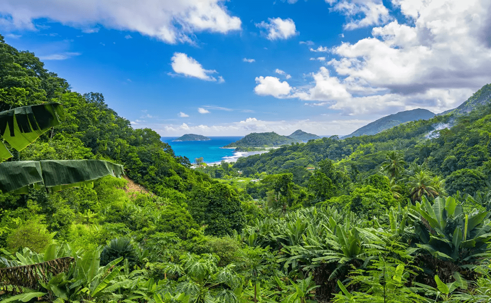 Where to Seychelles Islands
