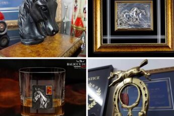 What to buy for a person who likes horses