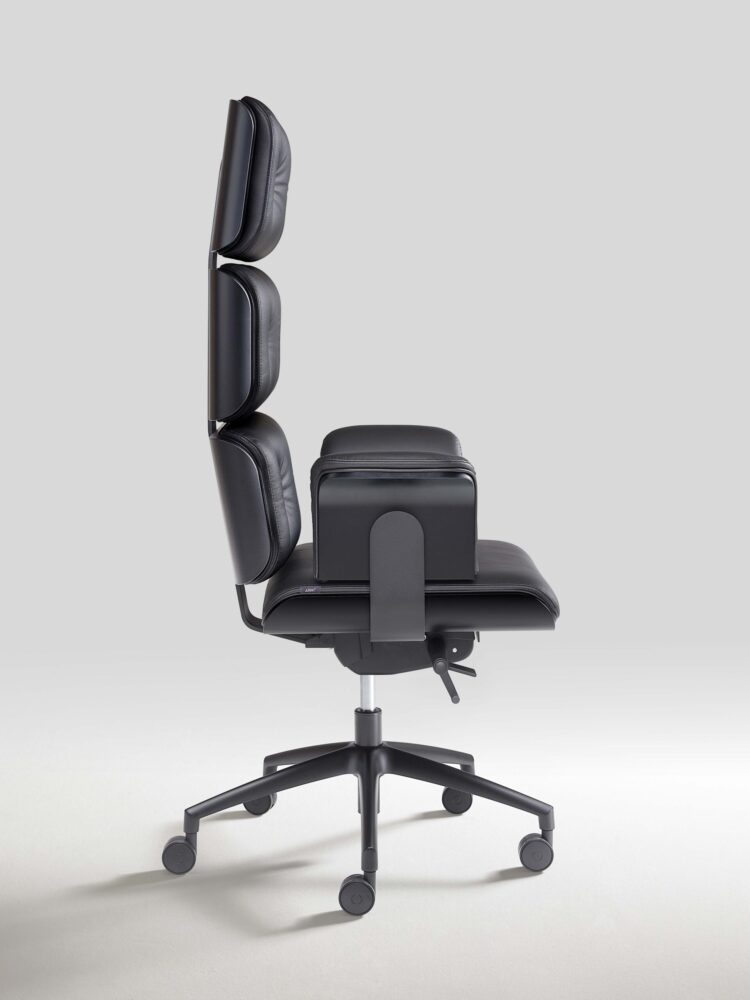 Luxurious Office Chair