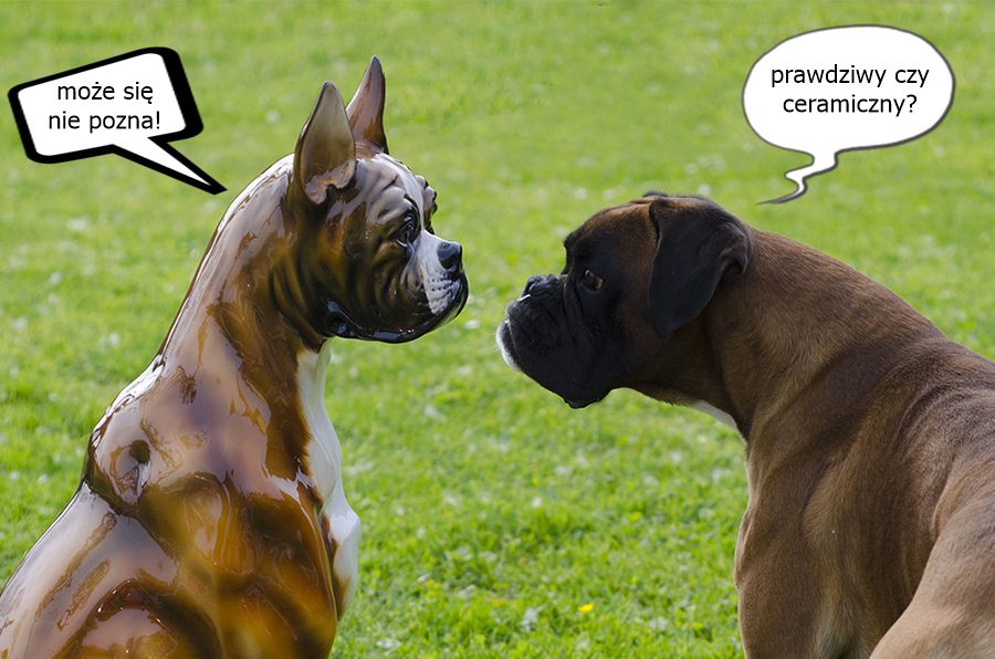 Decorative dogs – they don’t bark, but they do impress