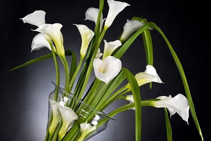 exclusive artificial flowers 1