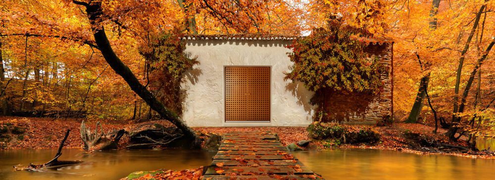 exclusive designer minimalist furniture