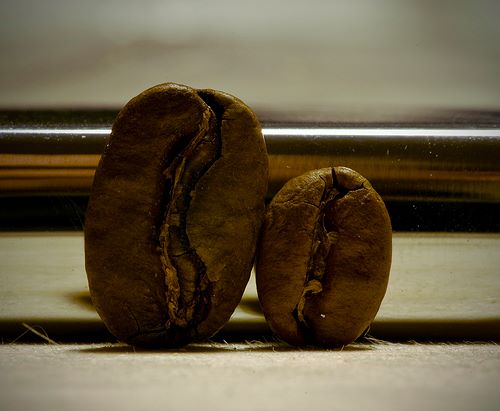 top 5 ground coffees