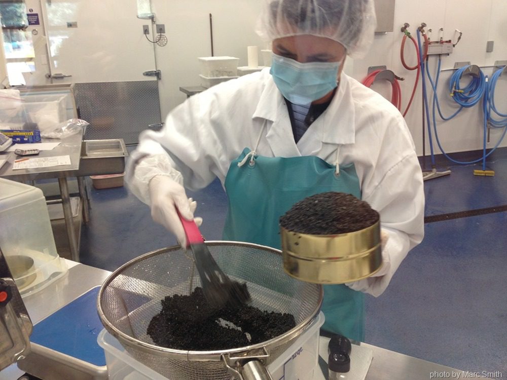 what is caviar made of?