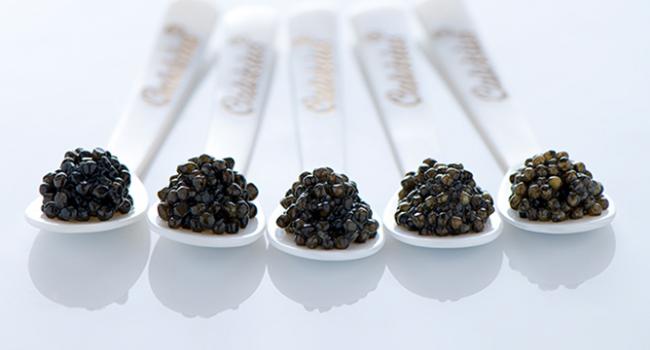 how to make caviar