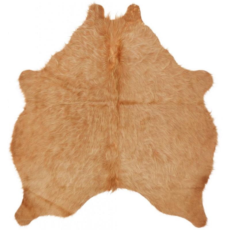 leather rugs for the living room