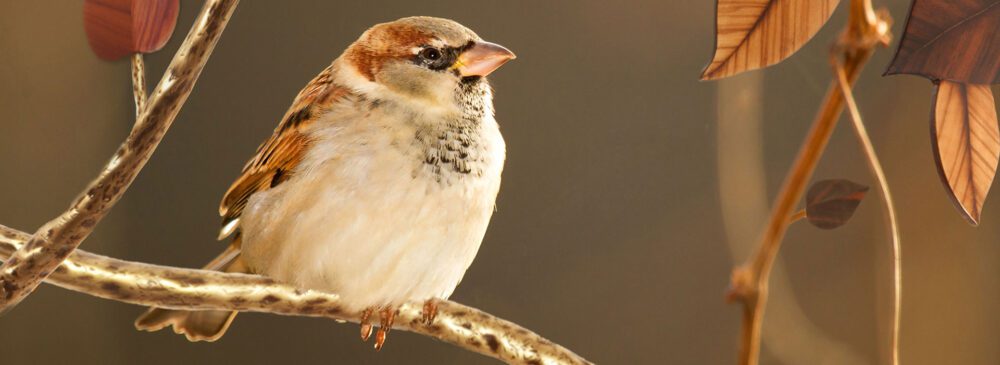 a piece of minimalist-style furniture