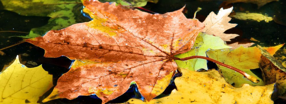 minimalist style furniture