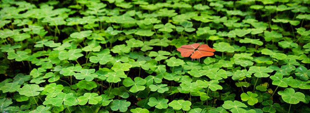 minimalist style furniture