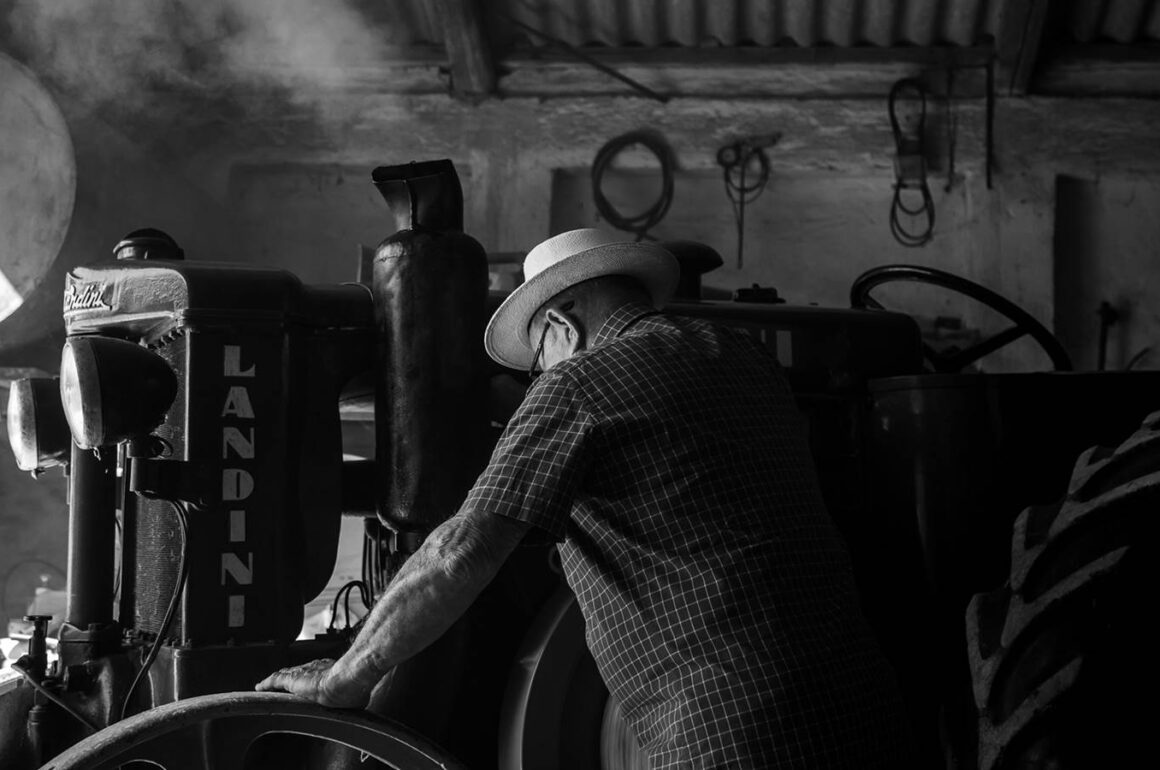 What Kind of Flour Do Italians Use to Make Pasta