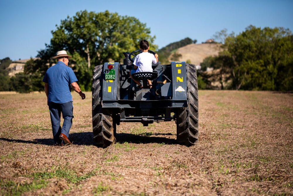 Where to Buy Authentic Italian Pasta