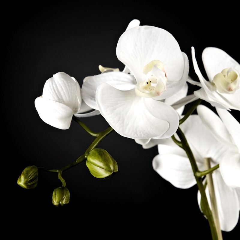 wonderful artificial flowers