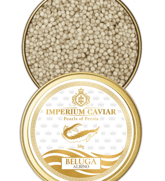 Albino Beluga Caviar Gold of the Caspian Sea