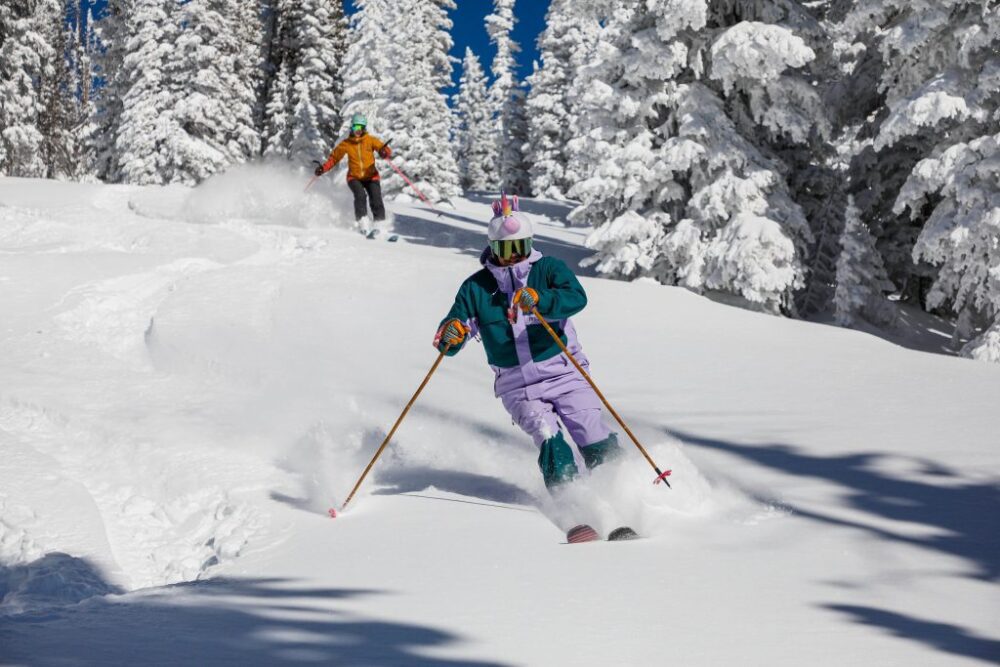 How Much Do Premium Skis Cost