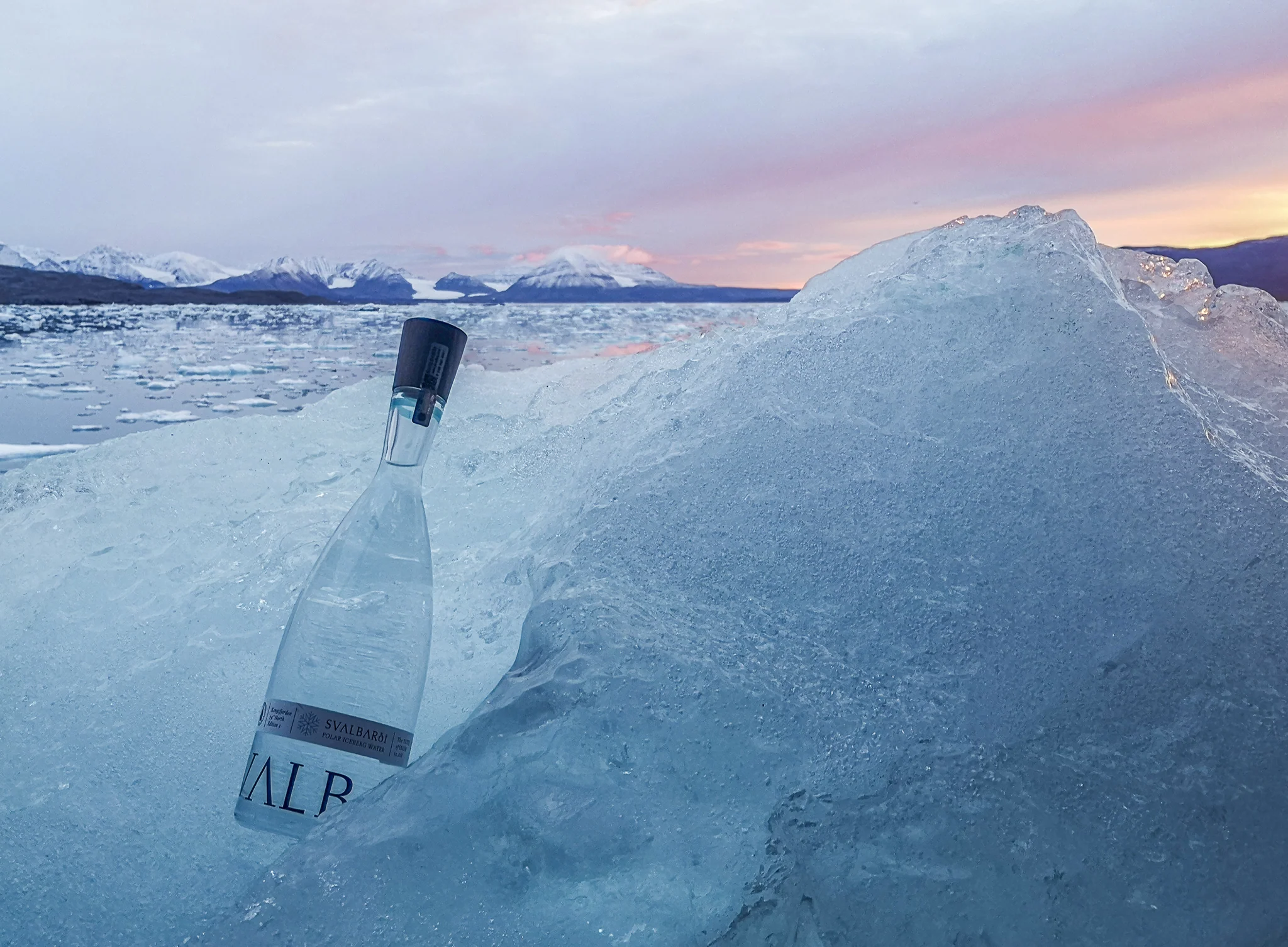 How Much Does the Most Expensive Ice Water Cost