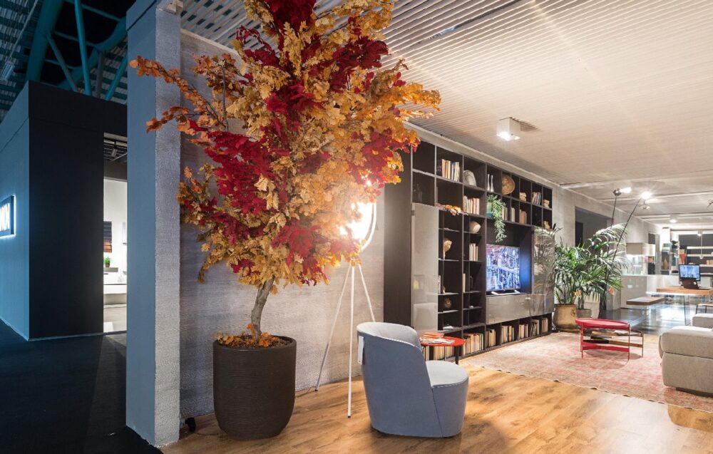 How to Stabilize Plants Blog