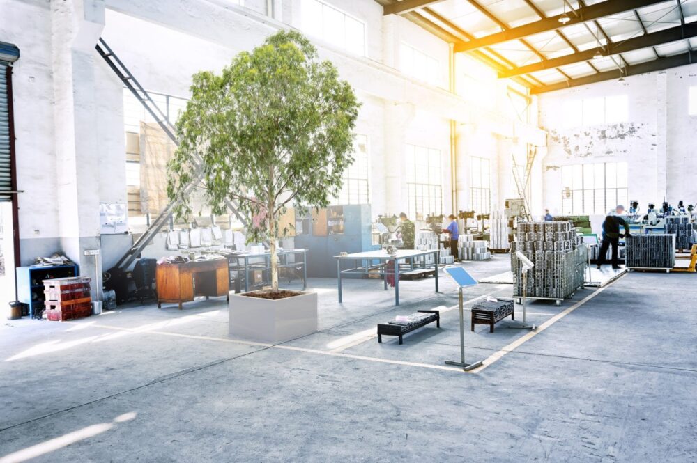 How to Stabilize Plants