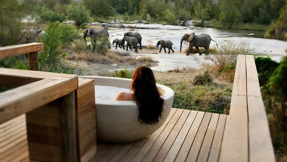 Luxury Safari