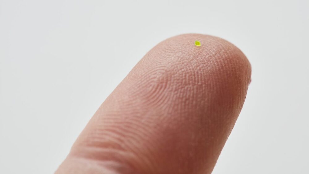 Microscopic Bag Louis Vuitton X Mschf