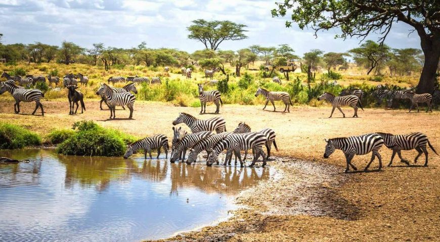 Tanzania Holidays 2026
