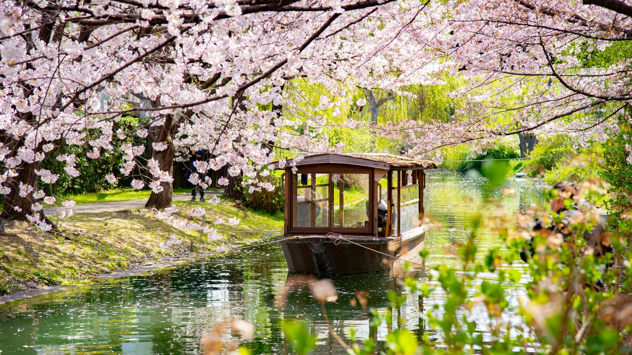 The beauty of Japan