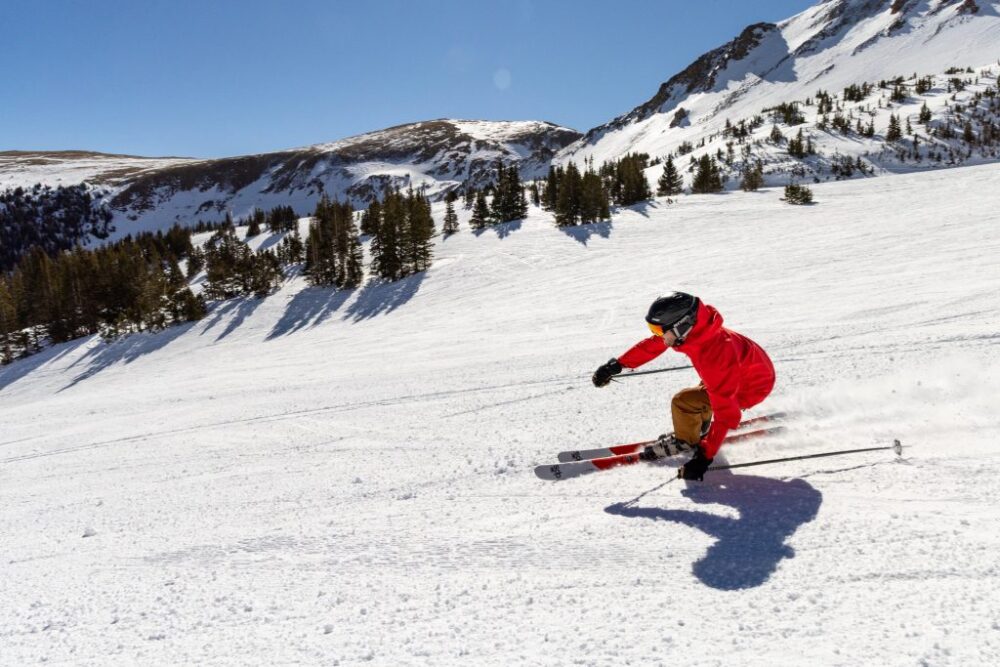 What Are Premium Skis: Luxury or an Essential Tool for Champions