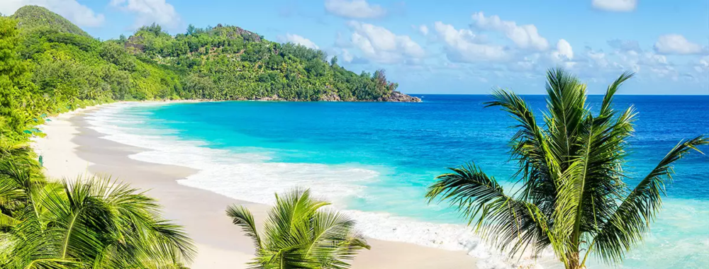 Where to Find Palm Trees in Seychelles