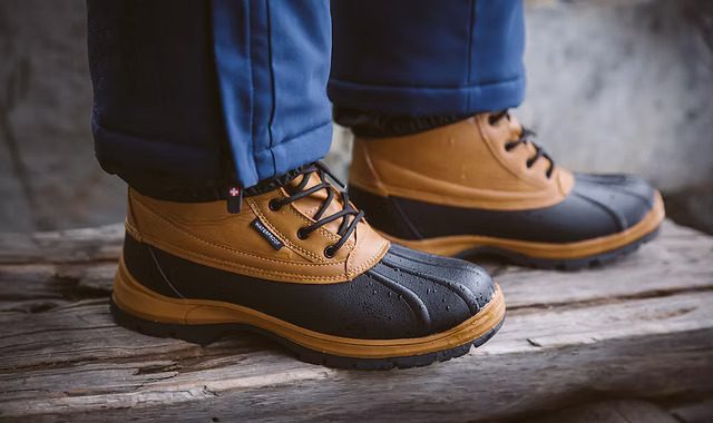 Vertigo Alpes – what kind of company is it?