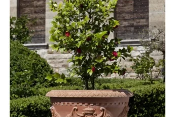 Advantages Of Original Terracotta Pots Plant Health And Styl