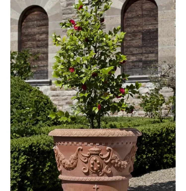 Advantages Of Original Terracotta Pots Plant Health And Styl