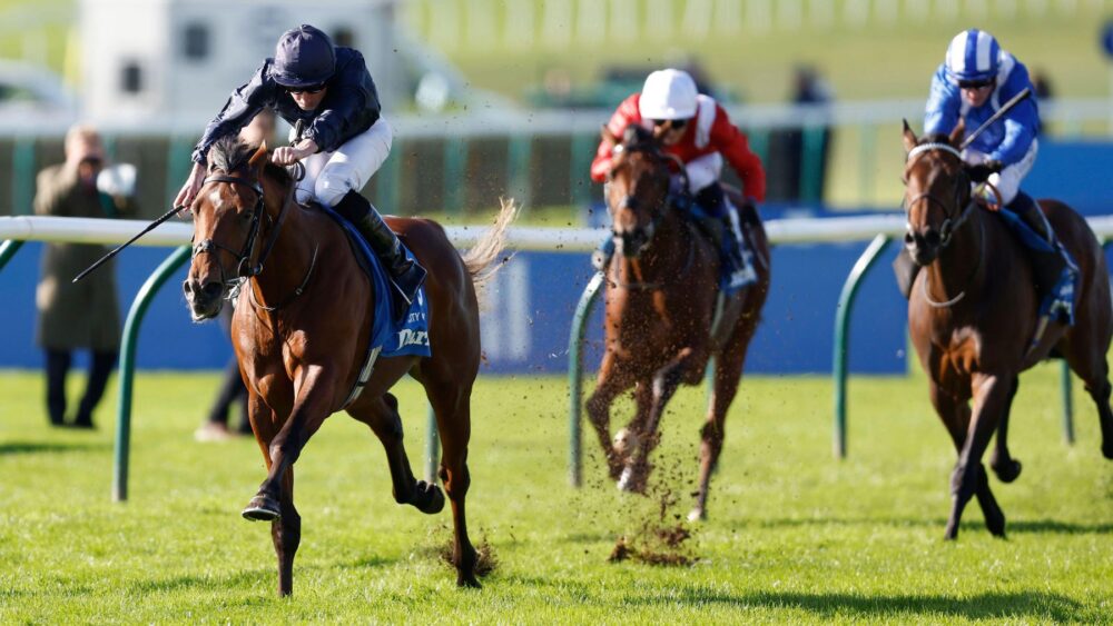 European Horse Racing