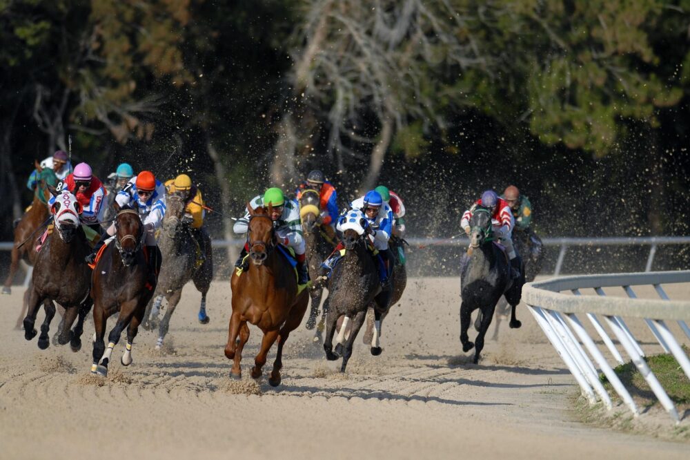 Horse Racing 2026