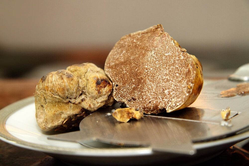 How Much Do the Most Expensive Truffles Cost