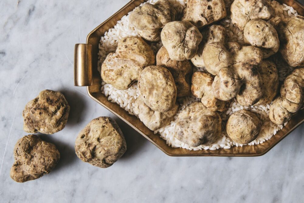 White Truffle