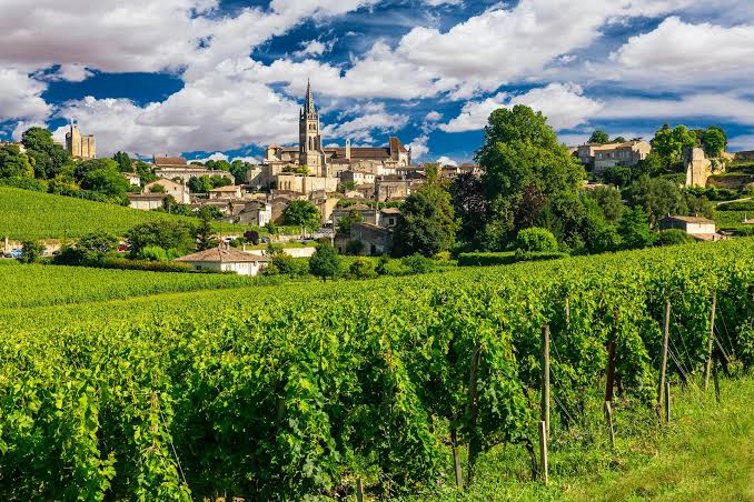 Bordeaux Wine Region