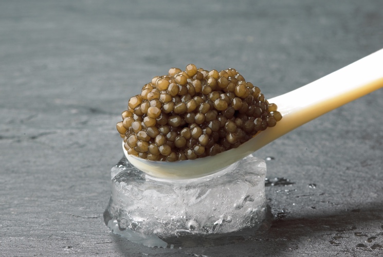 Caviar ranking – how to choose and what not to miss