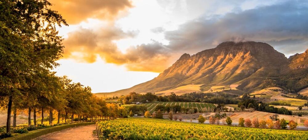 Famous Wine Regions