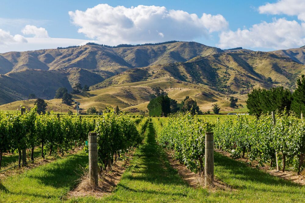 Marlborough Region Winemakers