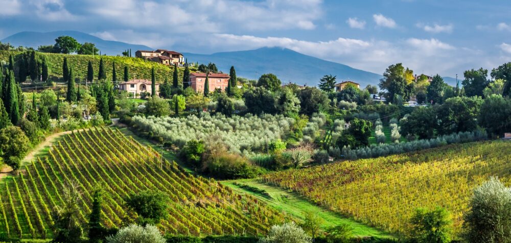 Best Wine Regions