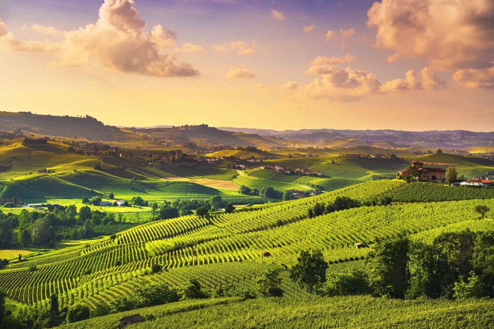 Langhe Vineyards Sunset Panorama, Barolo, Piedmont, Italy Europe