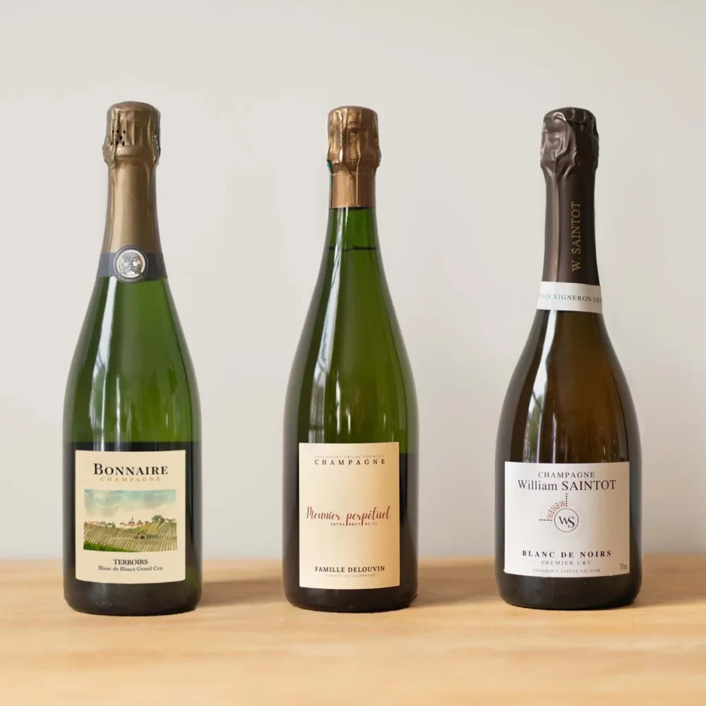 Blanc De Blancs Vs Blanc De Noirs Differences